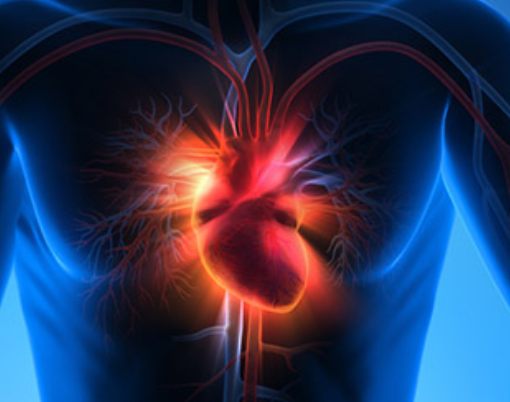 Beberapa Faktor Pemicu Serangan Penyakit Jantung