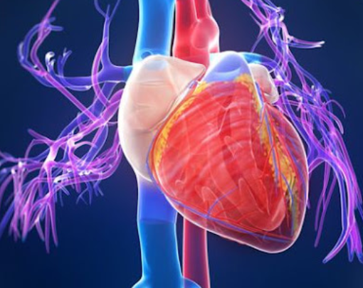 Perbedaan Antara Gejala Penyakit Jantung Pria Dan Wanita
