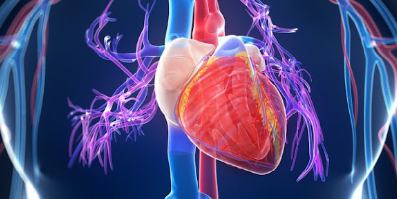 Perbedaan Antara Gejala Penyakit Jantung Pria Dan Wanita