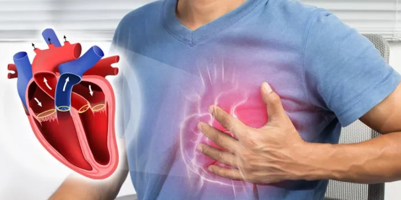 Jantung Pusat Utama Nyawa Yang Harus Di Jaga